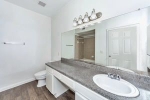 Enclave-at-Copperfield 22